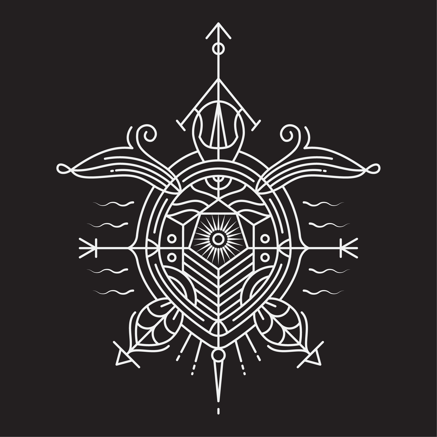 Hemsey Turtle shirt